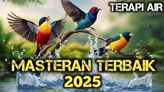 MASTERAN KOMBINASI TEMBAKAN KASAR ,Terapi Air ,Terapi Air Untuk Semua Jenis Burung, Gemericik Air
