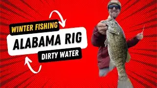 Winter Fishing Alabama Rig - The Bite