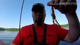 Bass Fishing with the Zman Turbo Craw