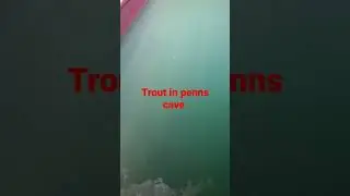 trout in penns cave