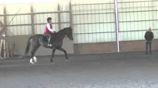 Pat Mansfield with Jewels (SGW Clinic - March 2015)