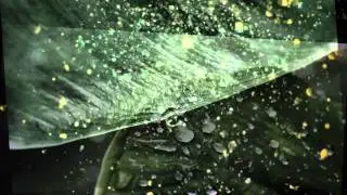 Mysterious Voice -Drops