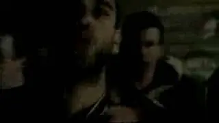 DNG   De Friezer Nederhop Vidz