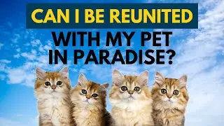 Can I Be Reunited With My Pet In Paradise? | Dr. Shabir Ally