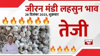 26 दिसंबर 2025 शुक्रवार जीरन मंडी लहसुन का भाव क्या रही तेजी-मंदी 🔥 मंदी