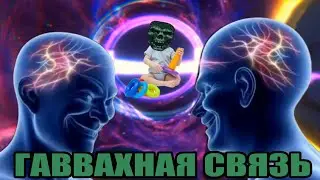 Quasimorph ДЛЯ САМЫХ МАЛЕНЬКИХ: Пособие для начинающих игроков