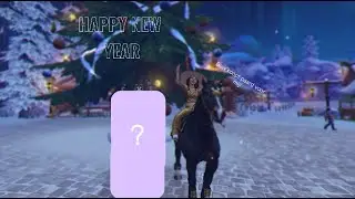 HAPPY NEW YEAR/Bow koopt paard voor mij/Pear Smoothrock