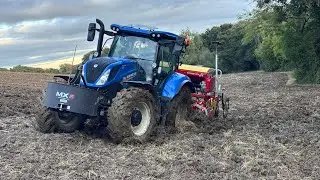 New Holland T6.180 Drilling Winter Rye 2024