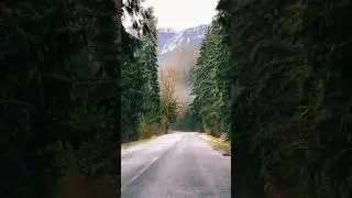Baker Lake Rd Washington #strangerthings  #driver #viral #trending #rain