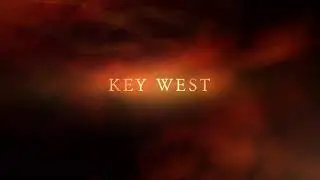 Key west termite control