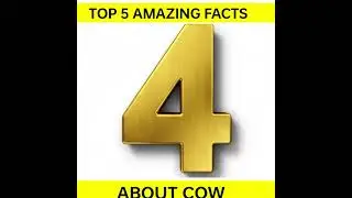 Top 5 amazing facts about cow 🐮#shorts #short #facts