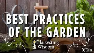 Garden Gail & the Soil Revolution: Composting, Community & Climate Wisdom (Part 2)