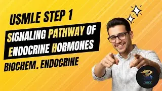 Signaling pathway of endocrine hormones | USMLE Step 1