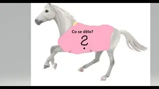 Co se bude dít ?