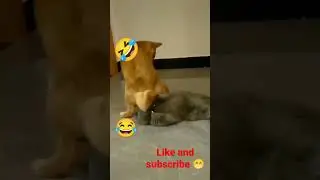 shorts viral video 60s#shorts #viral #shortsfeed #Digital active shanvi@😁😂🤣