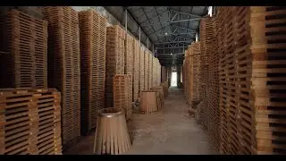1 Hour of Creaking Wood Floor Sounds