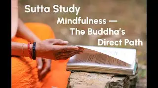 The Four Foundations of Mindfulness | The Direct Path to Liberation (Satipaṭṭhāna Saṁyutta 47.4)