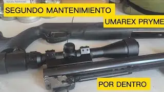 UMAREX PRYMEX NITRO PISTON LIMPIEZA POR DENTRO DESARMADO Y ARMADO F&Aacute;CIL Y R&Aacute;PIDO 