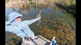Bowfishing Big Bear Lake (Carp) Aug 11, 2025