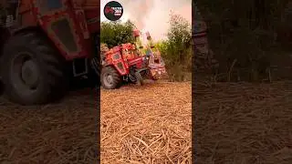 Massey Ferguson 385 &ndash; 85 HP High-Performance Agricultural Tractor#foryou #tractorpower #agricultur