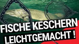 Perfekt leichte Allround-Kescher &ndash; Die neuen Mostal Carbon Angler-Klappkescher im Vergleich