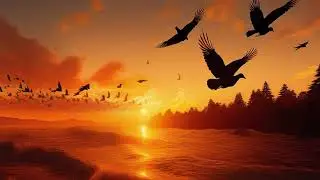 Sean Hickey: The Birds of Barclay Street #ResonatingEarth
