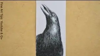 How to Draw a Crow
