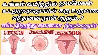How to form baby for after ovulation in tamil/ovulation/#fertilization#implantation /baby conception