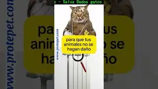 #Protectores #radiadores #Salva #dedos #gatos #perros #mascotas #protector #radiador #salvadedos