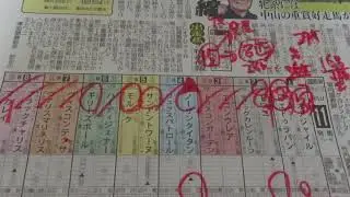 Fairy S: Horse Racing Digest