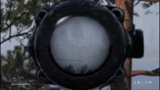 Dayz@Server: no sleep snipe shots