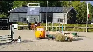 LINESTONE DRUM VH JUXSCHOT Z: LE BLUE DIAMOND V'T RUYTERSHOF x CIGARET JV H Z