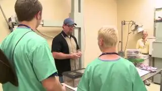 Zoo Vet Camp