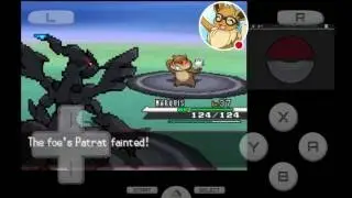 Pokemon Black livestream