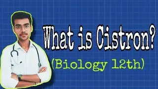 Cistron | Polycistronic & Monocistronic gene | Ch 6 Molecular basis of inheritance&nbsp;| by Aniket tyagi