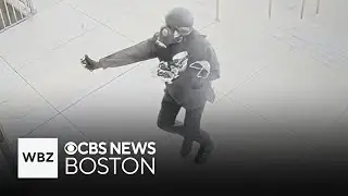Video shows pepper spray attack inside Massachusetts courthouse