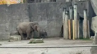 Abia visit Columbus zoo 