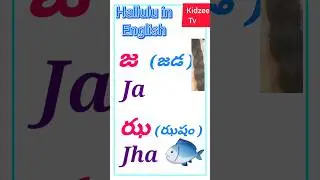 Telugu Varnamala  | Learn Telugu Letters |telugu Aksharamala