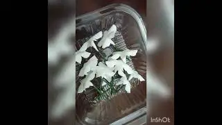 أسهل طريقة لصنع الياسمينة بعجينة السكر 🌼🌼