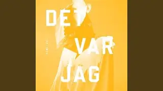 Det var jag (Albin Myers Remix)
