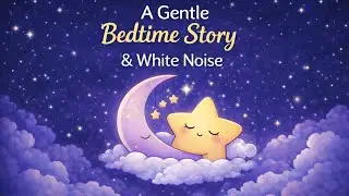 Milo The Bear 1 Bedtime Story (3 min) + 1 hour and 11 minute White Noise for sleep