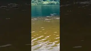 Linlithgow loch beautiful to visit beautiful  #scenery  #linlithgow  #visitscotland plz subscribe