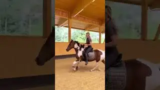 No bridle no problem! 🐴 #equestrian #horse #shorts