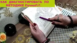 Как делать диагностику по методике Пучко. ЧАСТЬ 1