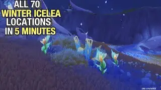 Winter Icelea Locations | Fast and Efficient Routes | Columbina Ascension Material | Genshin Impact 