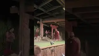 Maori Fighter Performance with Wahaika