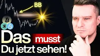 Krypto Wale kaufen: Wird DAS die nächste große Bitcoin Bewegung?