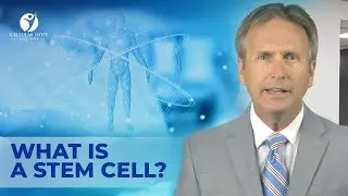 What Is A Stem Cell? │ Cellular Hope Institute