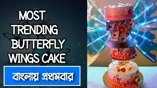 Butterfly Wings Cake Design | তোমরাও বানিয়ে ফেলতে পারবে এই প্রজাপতি পাখনা কেক