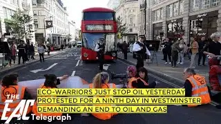 Share this video: Video: Motorists in rage drag Just Stop Oil protesters off the roads